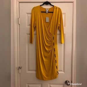 Carmen Marc Valvo dress